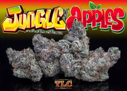 Buy Jungle Apple Kush